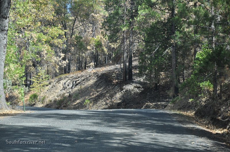 DSC_0063.JPG - Evergreen Road climbing out of Carlon Falls