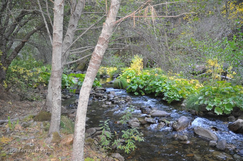 DSC_0089.JPG - Rafters paradise (in fall)