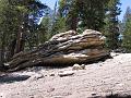 IMG_1873